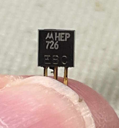 eico150-q2-wereboar.jpg