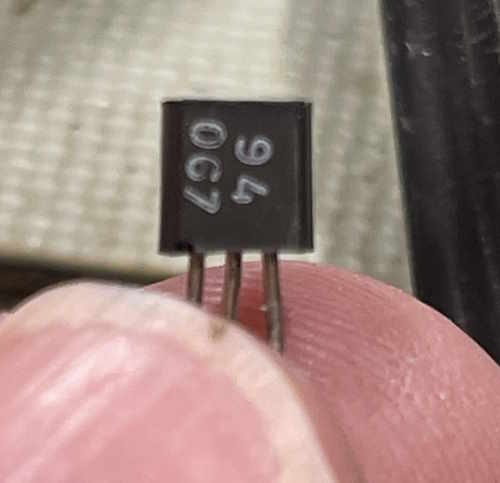 eico150-q3-wereboar.jpg