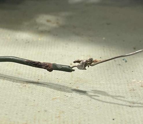 eico950a-badjoints-wereboar.jpg