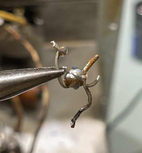 eico950a-electricspider-wereboar.jpg