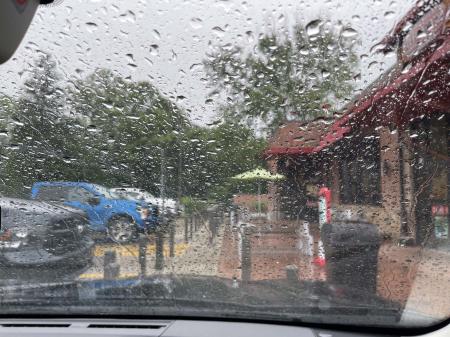 bs25-rain-wereboar.jpg