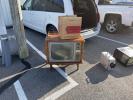 etm25-tv7-wereboar.jpg