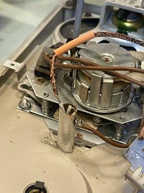 zenith-x184-02-diallamp-wereboar.jpg